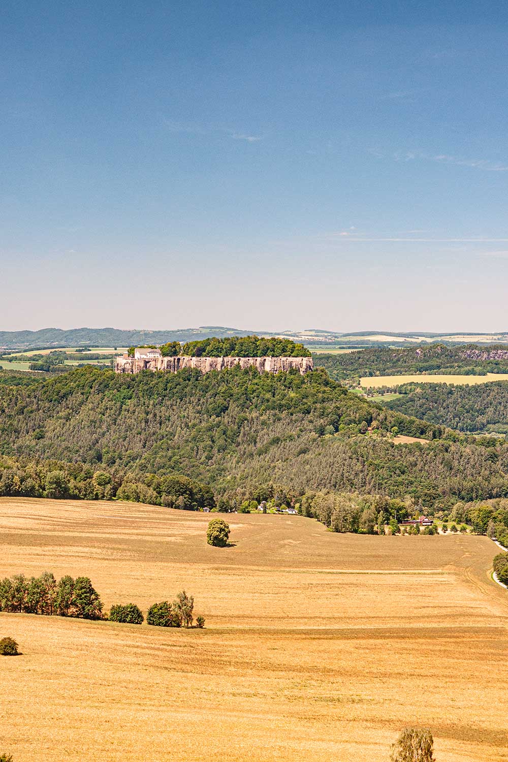 Blick zum Königstein